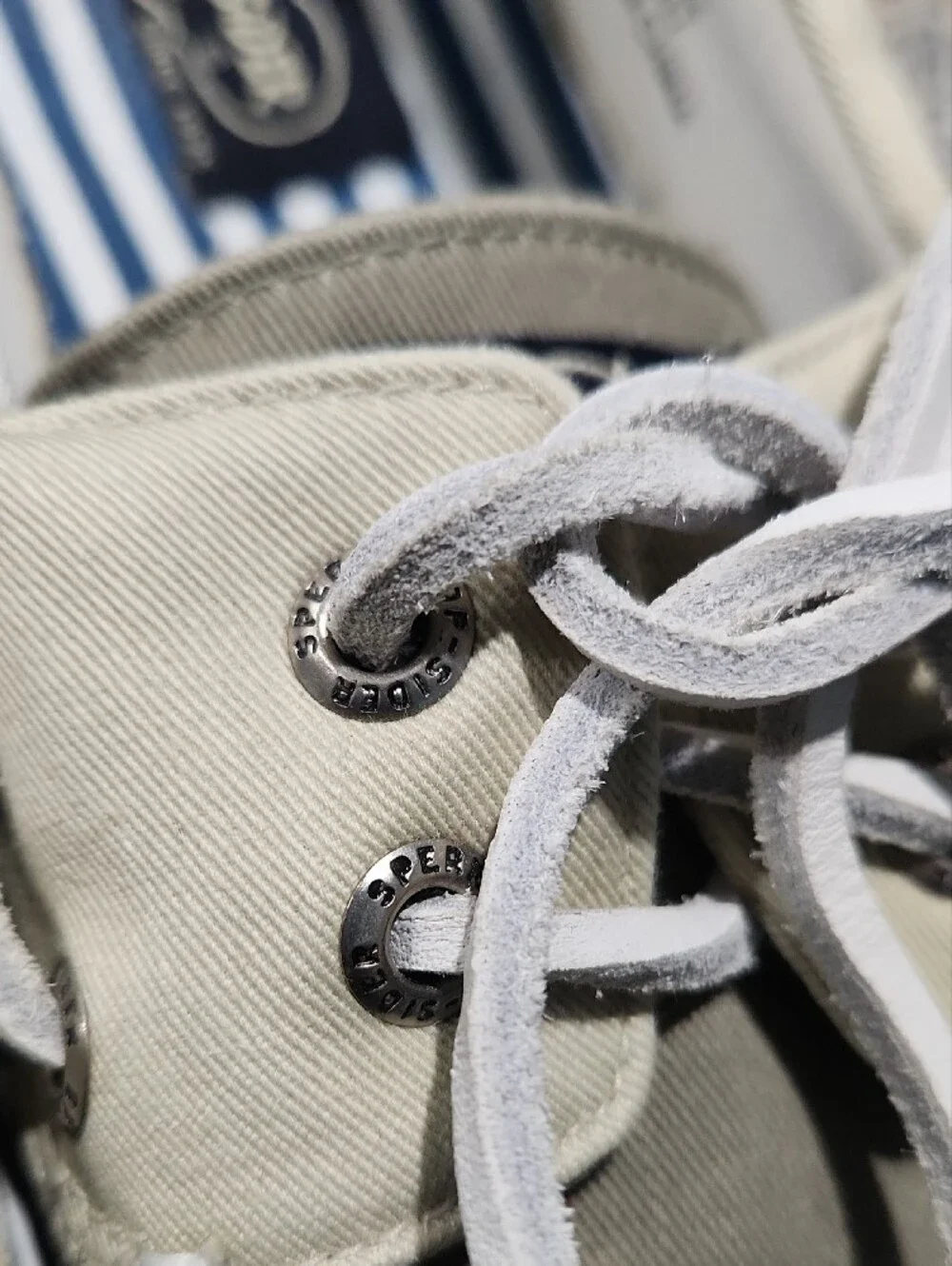 Sperry sail into